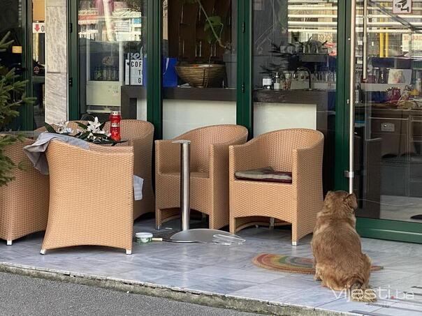 Tužan prizor ispred mjesta Amrinog ubistva: Prazna stolica, cvijeće i njen pas