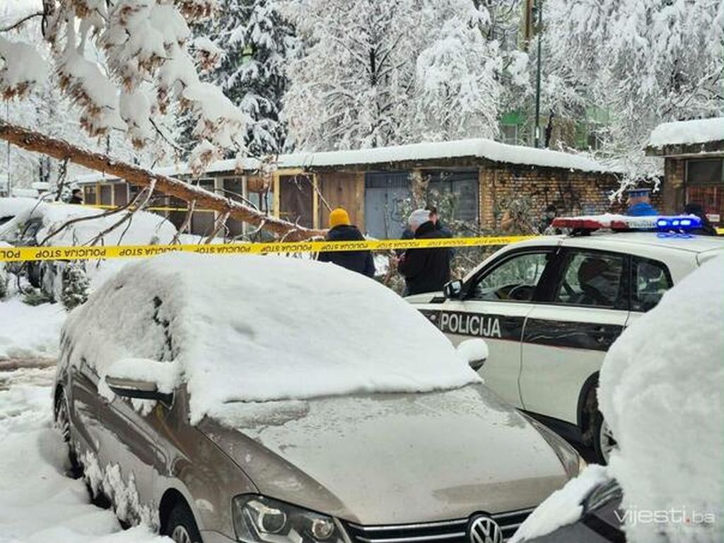 Formiran predmet zbog smrti žene na koju je palo stablo na Grbavici