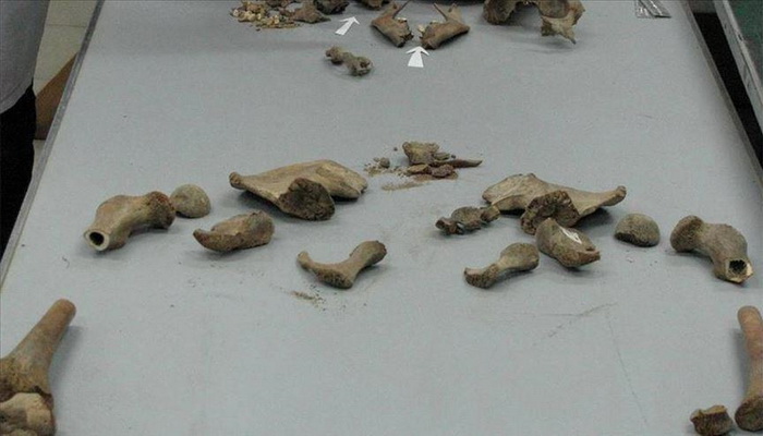 Tuzla: Identifikovani posmrtni ostaci šestogodišnje djevojčice Amele