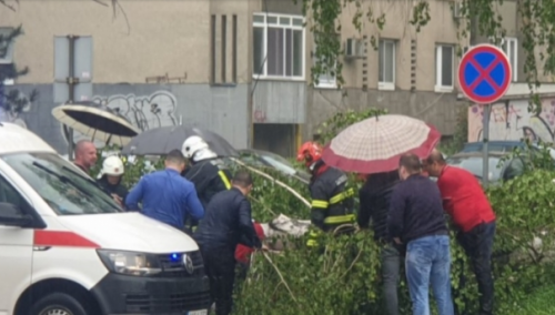 Tuzla: Žena na koju je palo drvo u teškom stanju