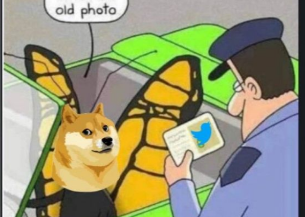 Twitter ima novi logo, Elon Musk zamijenio popularnu plavu pticu