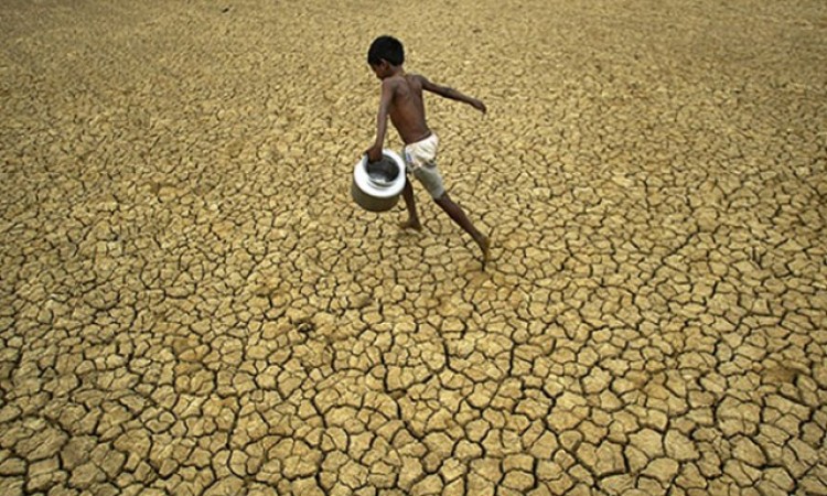 U 2020. godini do 19 posto kopnene mase Zemlje zahvaćeno ekstremnom sušom