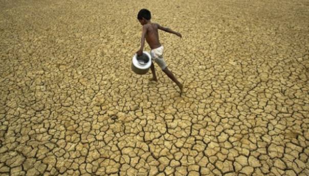 U 2020. godini do 19 posto kopnene mase Zemlje zahvaćeno ekstremnom sušom