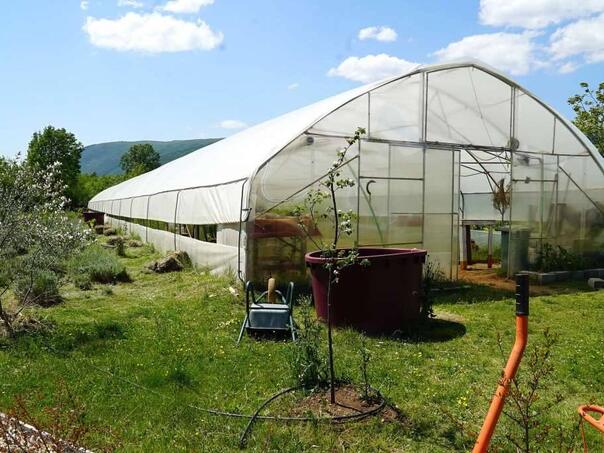 U 2023. godini registrovano više od 2.100 malih biznisa