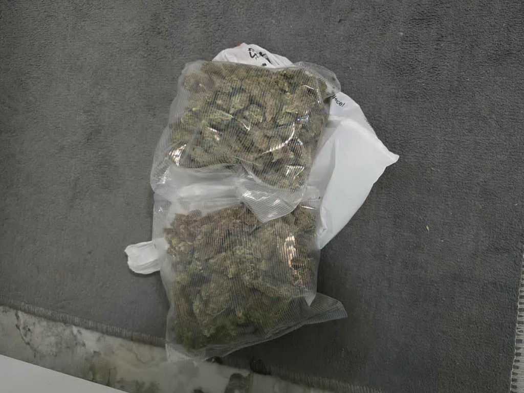 U akciji "Plantaža 2025" pronađene 33 stabljike indijske konoplje i opojna droga