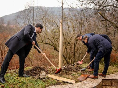 U Aleji ambasadora danas sadnja lipa