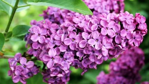 U aprilu trebamo biti spremni na sve vremenske prilike