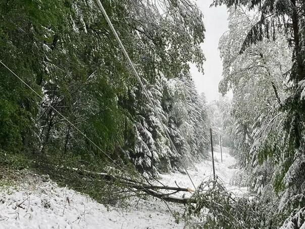 U Australiji palo pola metra snijega