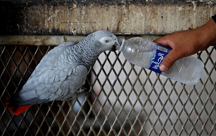 U Bagdadu danas 50 stepeni Celzijusa