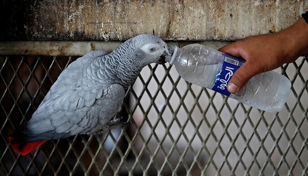 U Bagdadu danas 50 stepeni Celzijusa