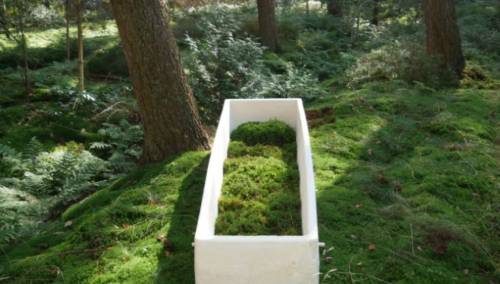 U Beču predstavljen 'živi kovčeg' od gljiva