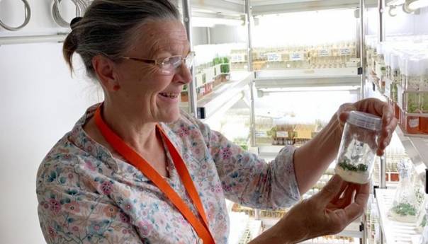 U Beču procvjetala biljka stara 32.000 godina