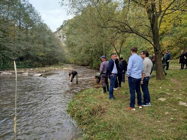 Na Bentbaši ubačeno 500 kilograma potočne pastrmke