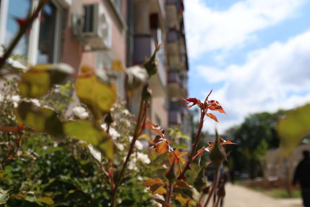 U BiH danas pretežno sunčano i vruće, na jugu zemlje do 42°C