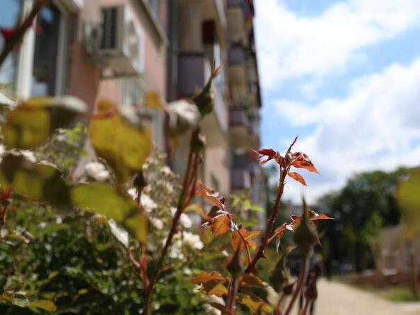 U BiH danas pretežno sunčano i vruće, na jugu zemlje do 42°C