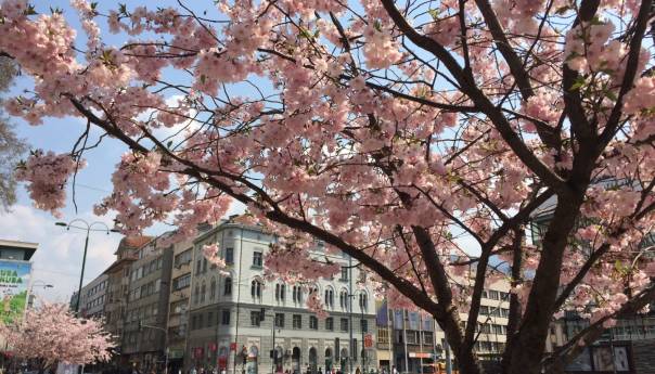 U BiH danas pretežno sunčano, temperatura i do 20 stepeni