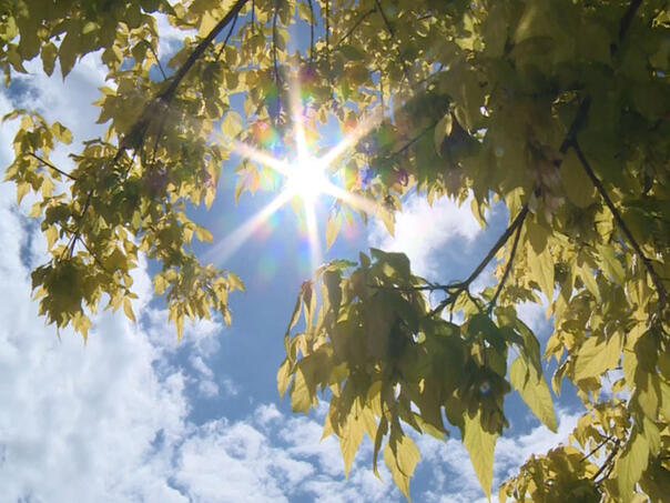 U BiH sunčano i toplo, poslijepodne mogući lokalni pljuskovi