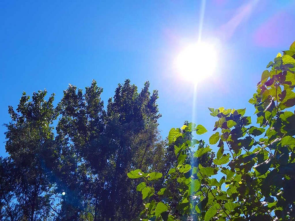 U BiH danas sunčano, maksimalna temperatura +36 stepeni