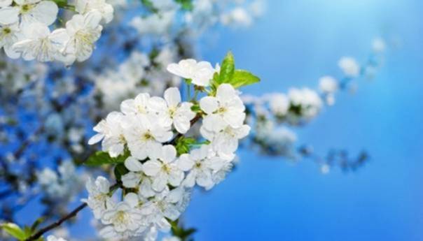 U BiH danas sunčano, temperatura do 24 stepena