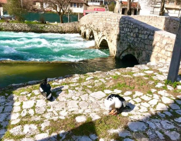 U BiH danas sunčano uz malu do umjerenu oblačnost