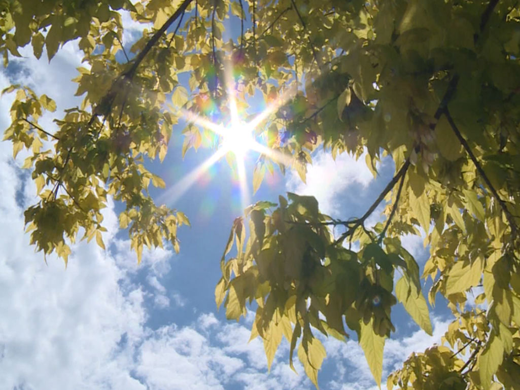U BiH danas sunčano uz umjerenu naoblaku, temperature visoke