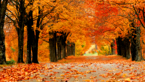 U BiH danas sunčano vrijeme, temperatura do 26 stepeni