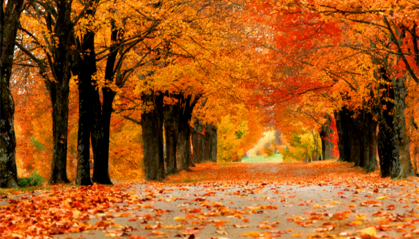 U BiH danas sunčano vrijeme, temperatura do 26 stepeni