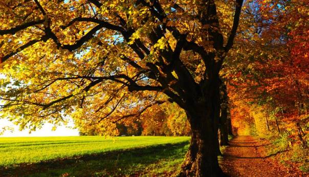 U BiH danas sunčano vrijeme uz malu do umjerenu oblačnost