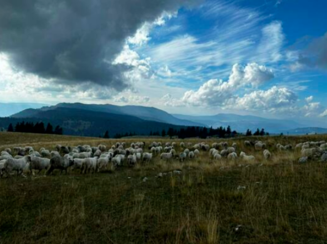 U BiH danas umjereno do pretežno oblačno vrijeme, na jugu zemlje sunčano