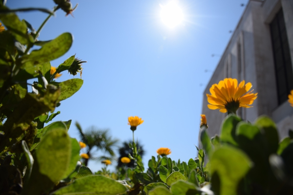 U BiH jutro pretežno sunčano, poslijepodne pljuskovi i grmljavina