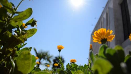 U BiH jutro pretežno sunčano, poslijepodne pljuskovi i grmljavina