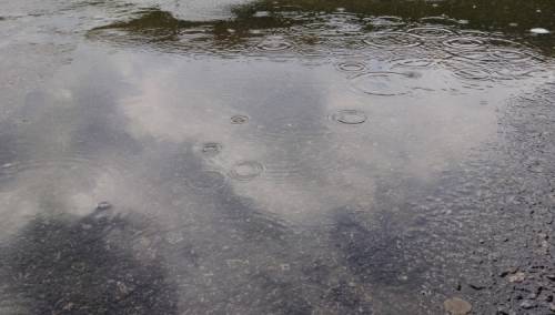 U BiH jutros oblačno s mjestimičnom kišom