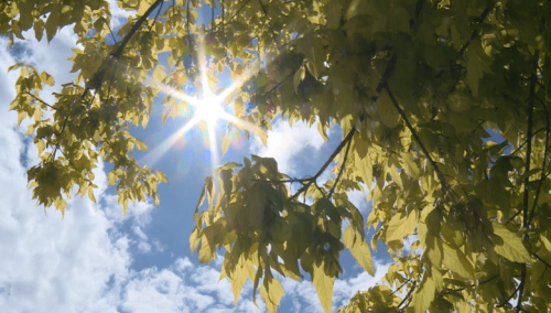 U BiH jutros pretežno sunčano, magla po kotlinama i uz riječne tokove