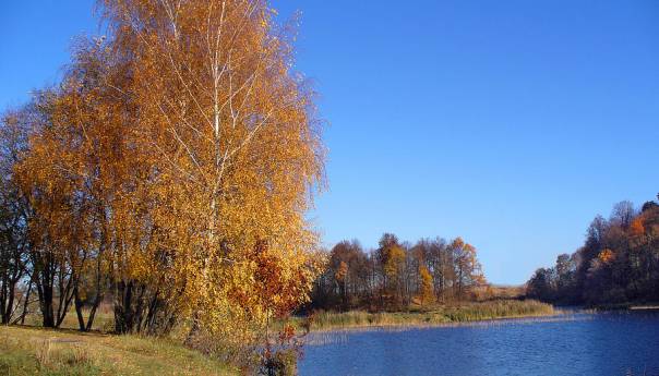U BiH jutros sunčano, u drugom dijelu dana lokalni pljuskovi