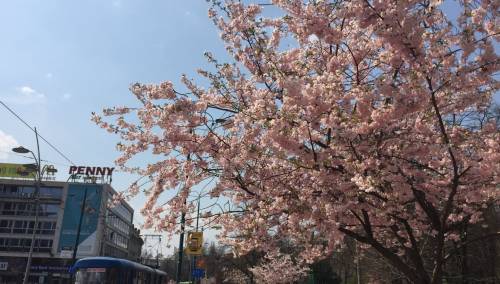 U BiH jutros sunčano uz malu oblačnost