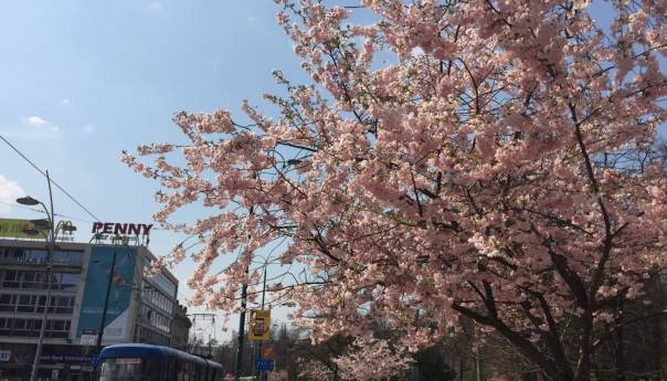 U BiH jutros sunčano uz malu oblačnost