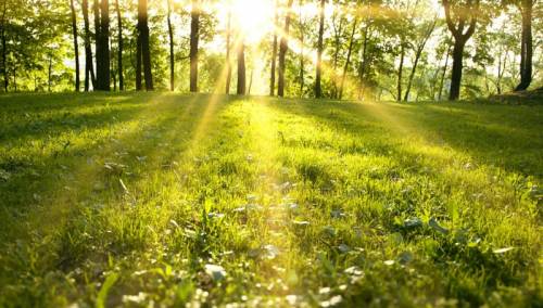 U BiH jutros umjereno oblačno i sunčano