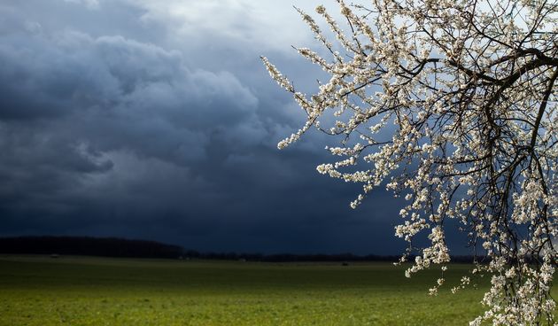 U BiH narednih dana uglavnom oblačno sa kišom ili lokalnim pljuskovima