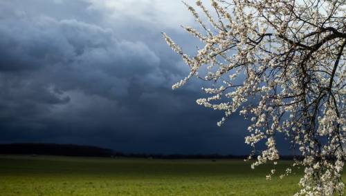 U BiH narednih dana uglavnom oblačno sa kišom ili lokalnim pljuskovima