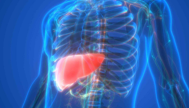 U BiH nedovoljna osviještenost o prevenciji i liječenju ''tihe bolesti''