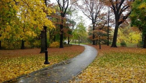U BiH nestabilno vrijeme, tokom dana pljuskovi i grmljavina