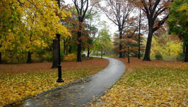 U BiH nestabilno vrijeme, tokom dana pljuskovi i grmljavina