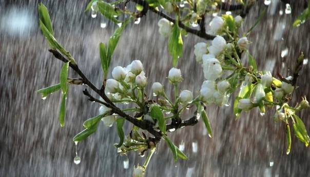 U BIH oblačno, temperatura do 20 stepeni, slijede kišni dani