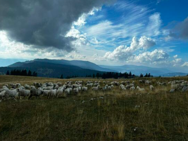 U BiH pretežno sunčano, poslijepodne mjestimično mogući slabi pljuskovi