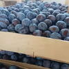 U BiH prinos šljiva i trešanja po hektaru smanjen za gotovo 45 posto