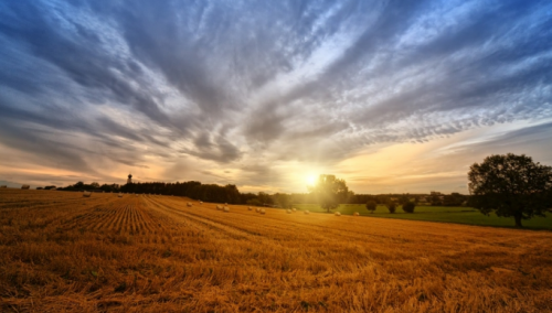 U BiH stabilno i pretežno sunčano vrijeme do kraja ove radne sedmice