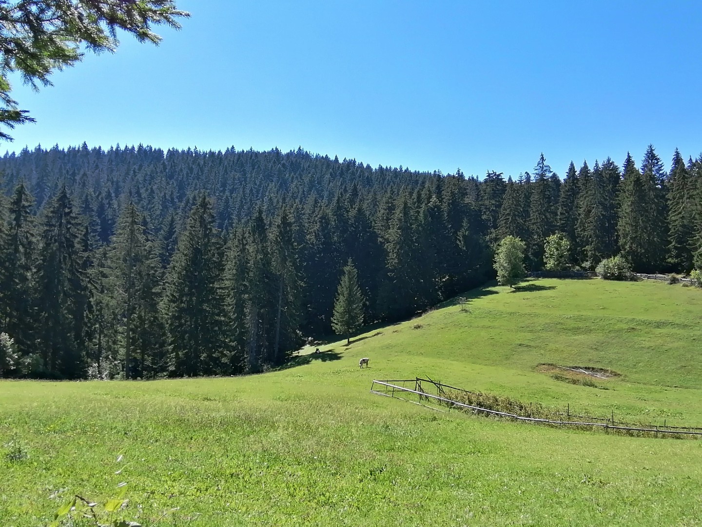 U BIH sunčano, temperatura do 23 stepena
