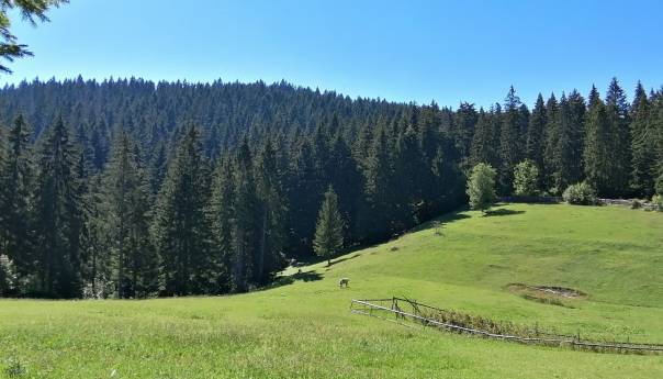 U BIH sunčano, temperatura do 23 stepena