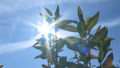 U BiH sunčano, temperatura do 32 stepena