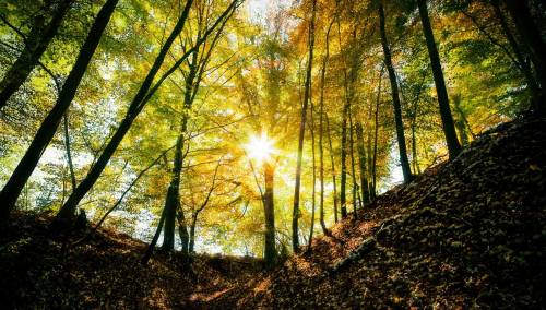 U BiH sunčano, temperature do 31 stepen